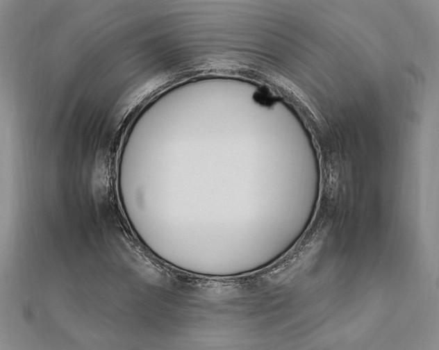 X0000112790874200909041410