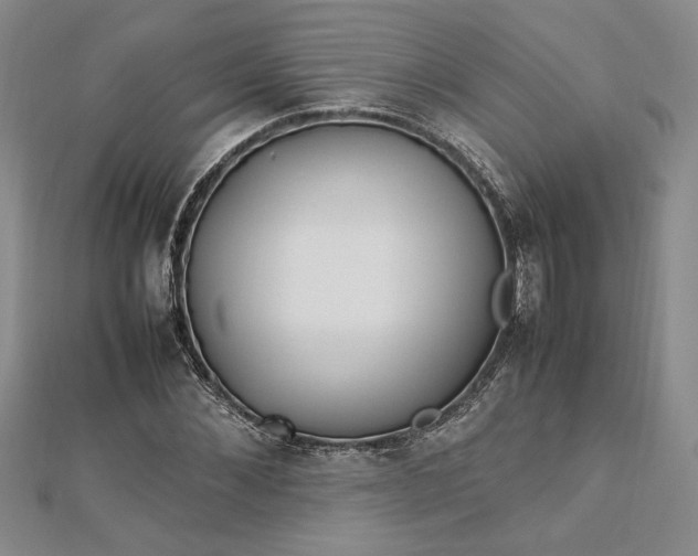 X0000112790876200909041410