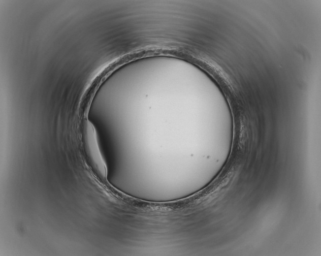 X0000112790878200909041410