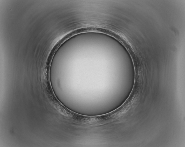 X0000112790879200909041410