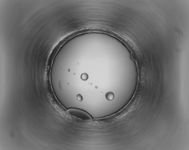 X0000112790880200909041410