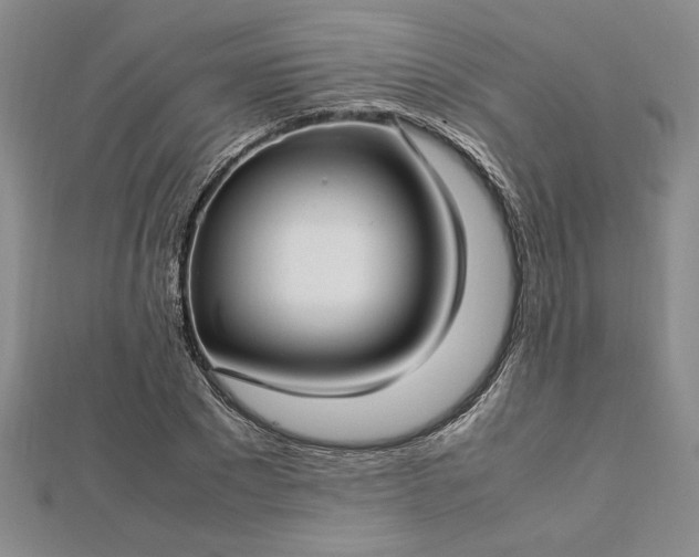 X0000112790881200909041410