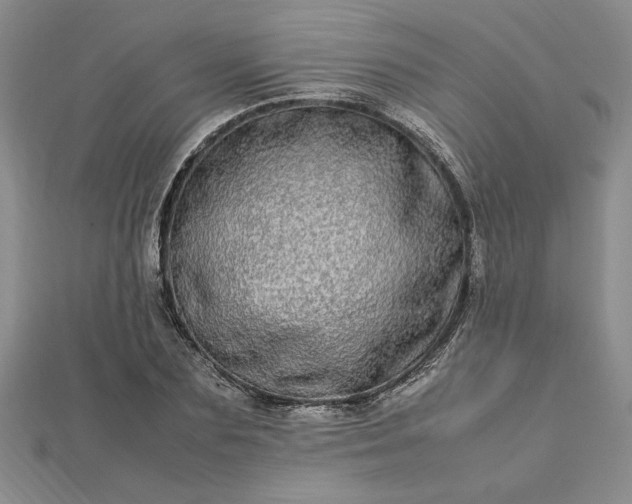 X0000112790883200909041410