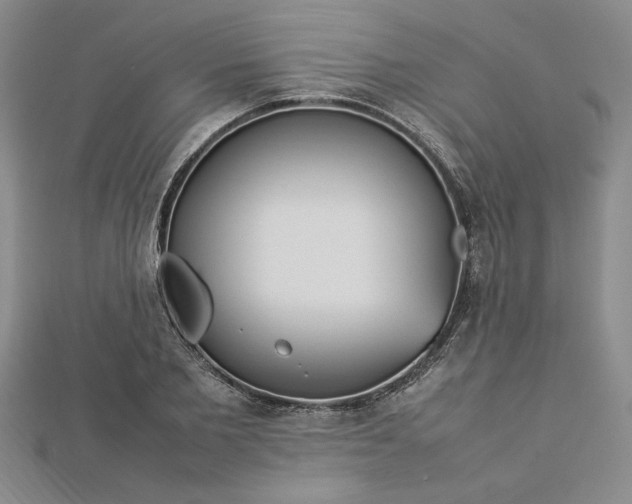 X0000112790885200909041410