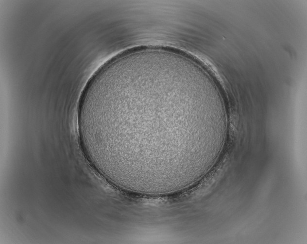 X0000112790887200909041410