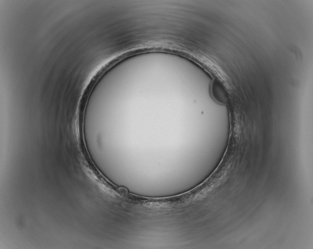 X0000112790888200909041410