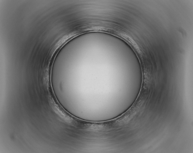 X0000112790890200909041410