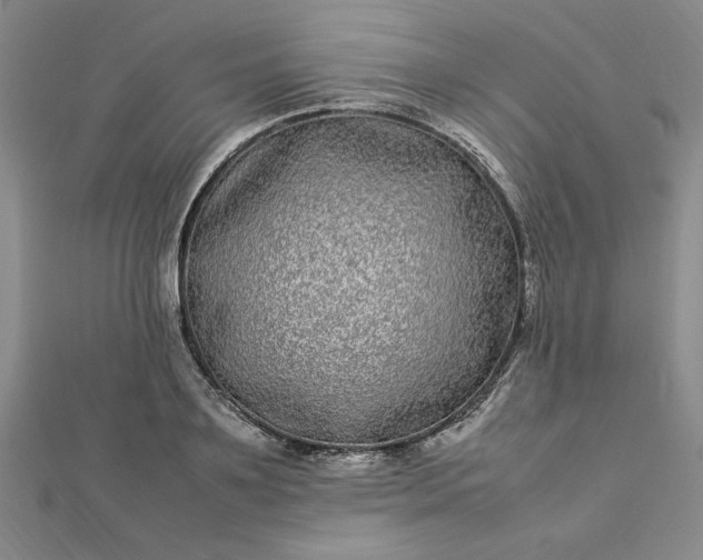 X0000112790891200909041410