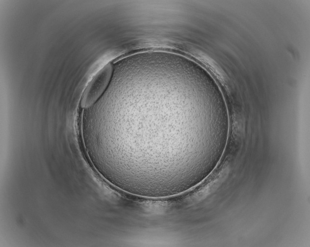 X0000112790893200909041410