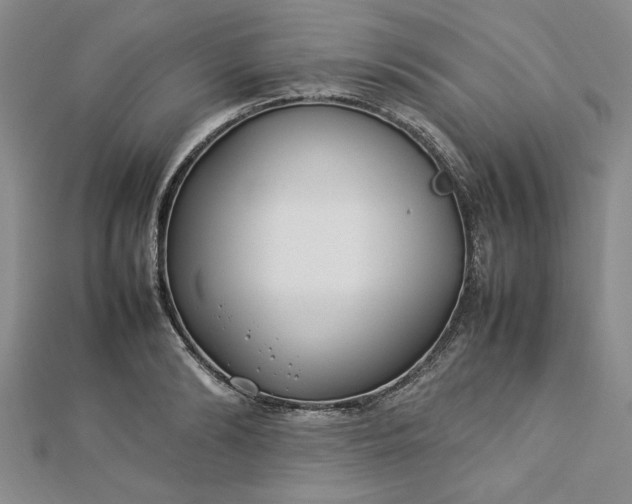 X0000112790894200909041410