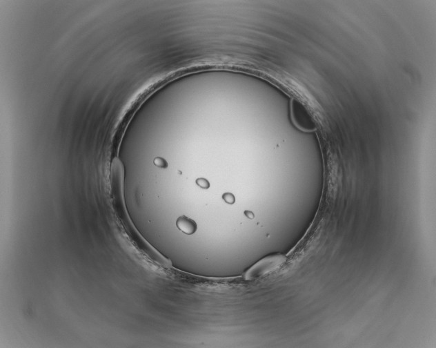 X0000112790896200909041410