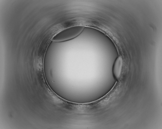 X0000112790897200909041410