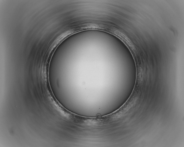 X0000112790898200909041410