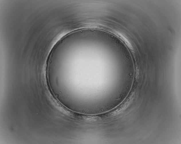 X0000112790899200909041410