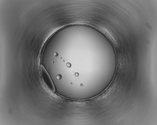 X0000112790900200909041410