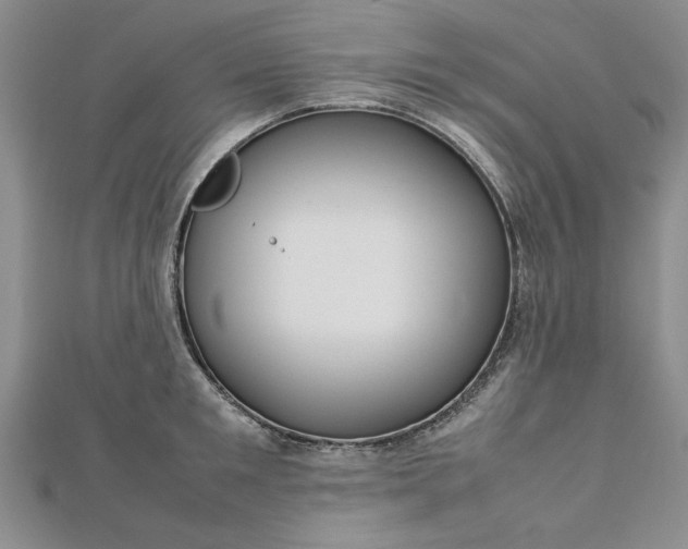 X0000112790901200909041410