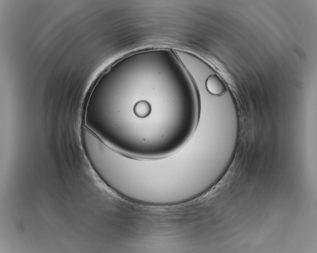 X0000112790904200909041409