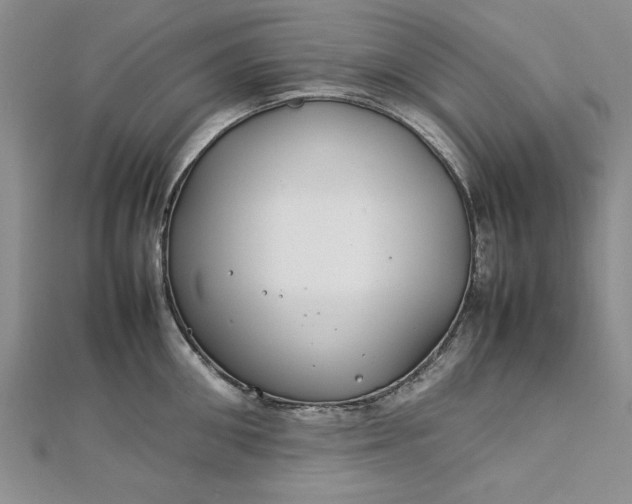 X0000112790906200909041409