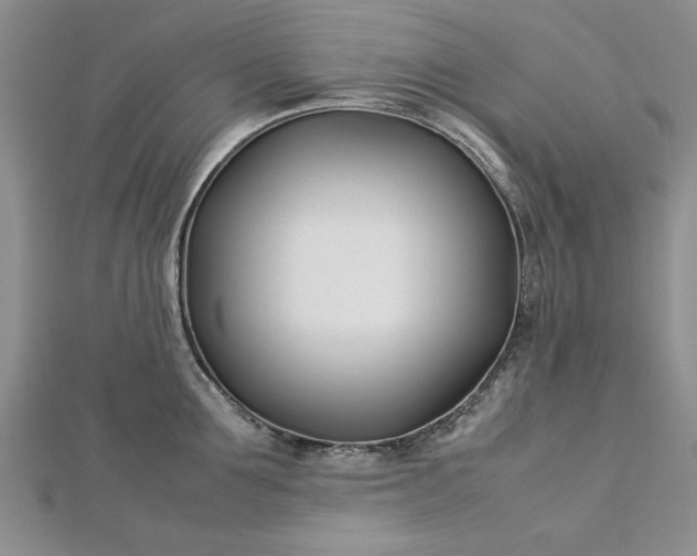 X0000112790907200909041409