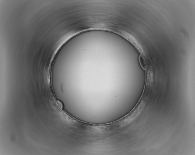 X0000112790908200909041409