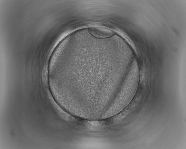 X0000112790911200909041409