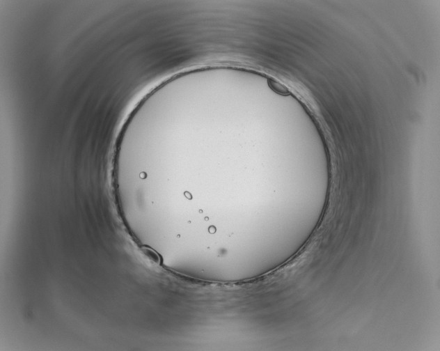 X0000112790912200909041409