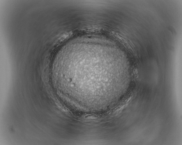 X0000112790913200909041409