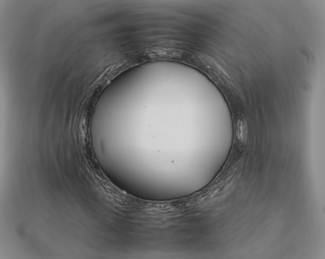 X0000112790915200909041409