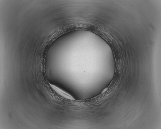 X0000112790916200909041409