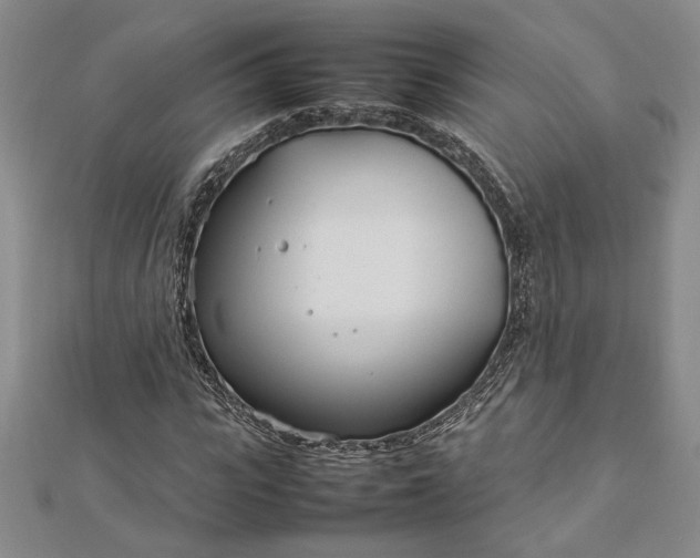 X0000112790919200909041409