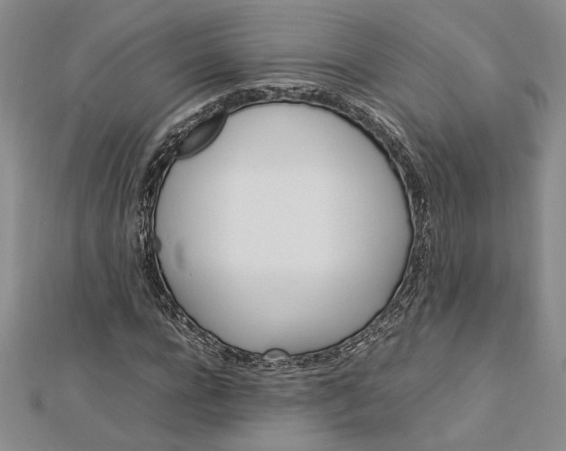 X0000112790920200909041409