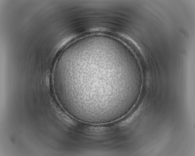 X0000112790921200909041409