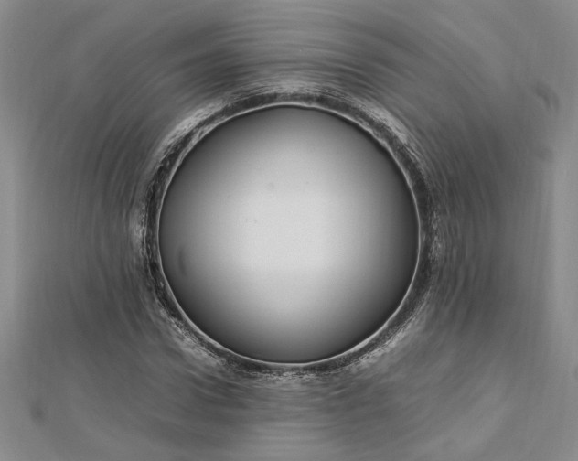 X0000112790922200909041409