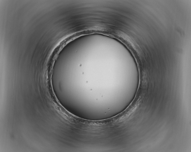 X0000112790923200909041409