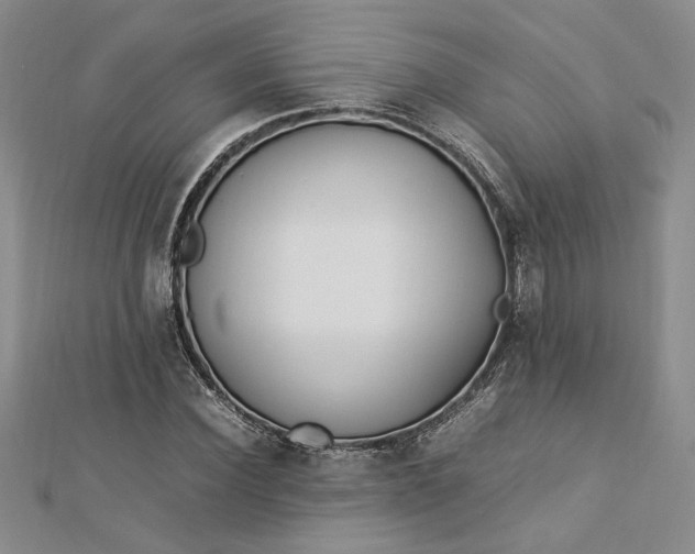 X0000112790924200909041409