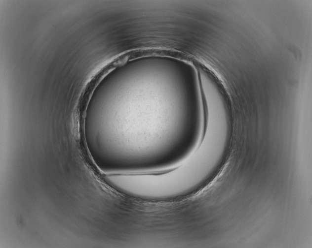 X0000112790925200909041409