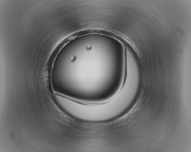 X0000112790926200909041409