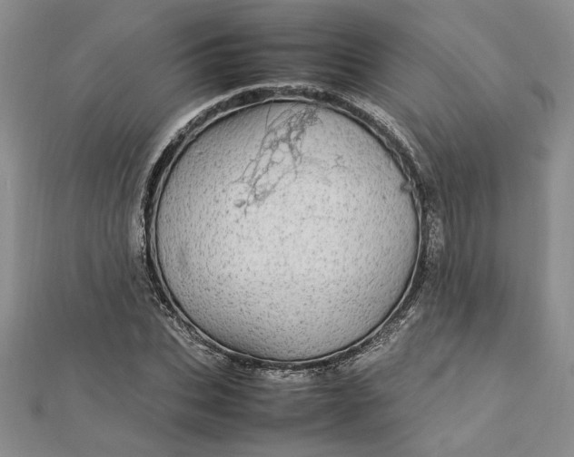 X0000112790927200909041409