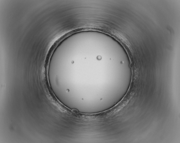 X0000112790928200909041409