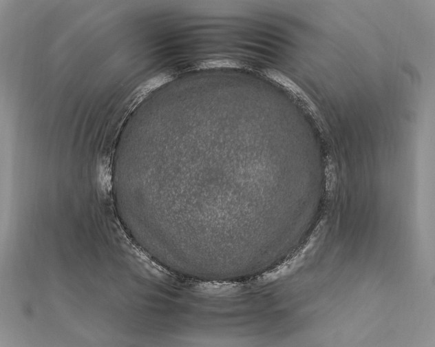 X0000112790929200909041409