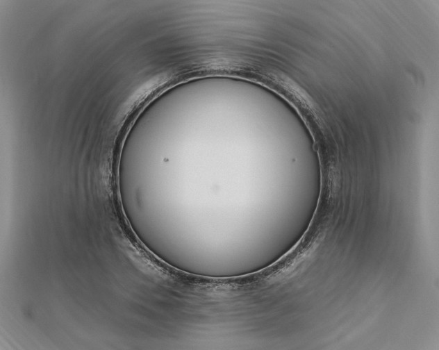 X0000112790930200909041409