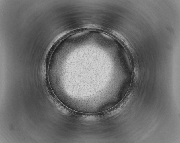 X0000112790931200909041409