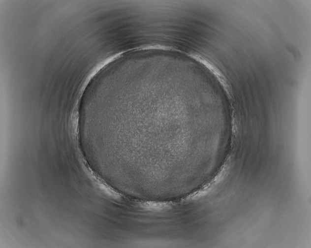 X0000112790933200909041409