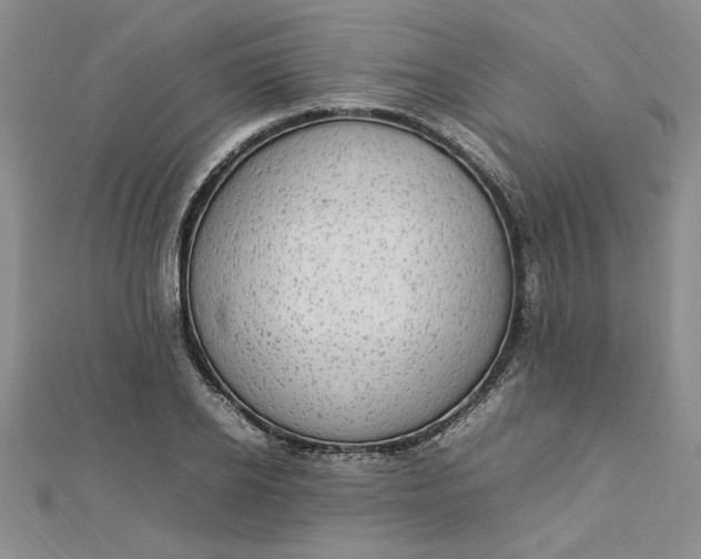 X0000112790934200909041409