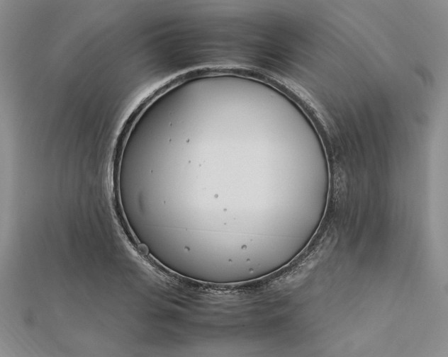 X0000112790935200909041409