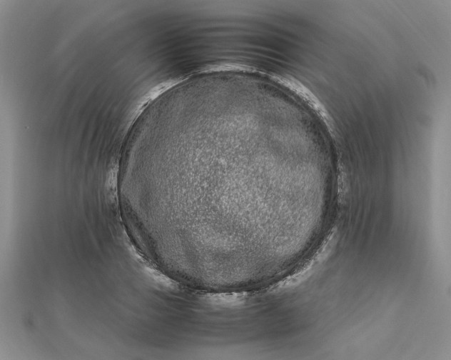 X0000112790937200909041409