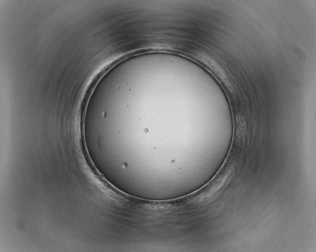 X0000112790939200909041409