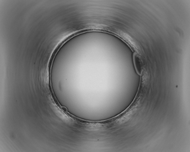 X0000112790940200909041409