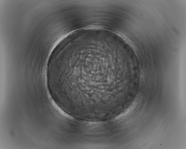 X0000112790941200909041409