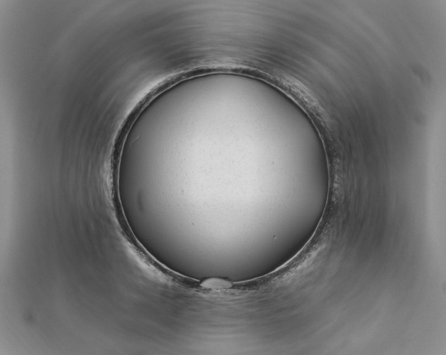 X0000112790942200909041409